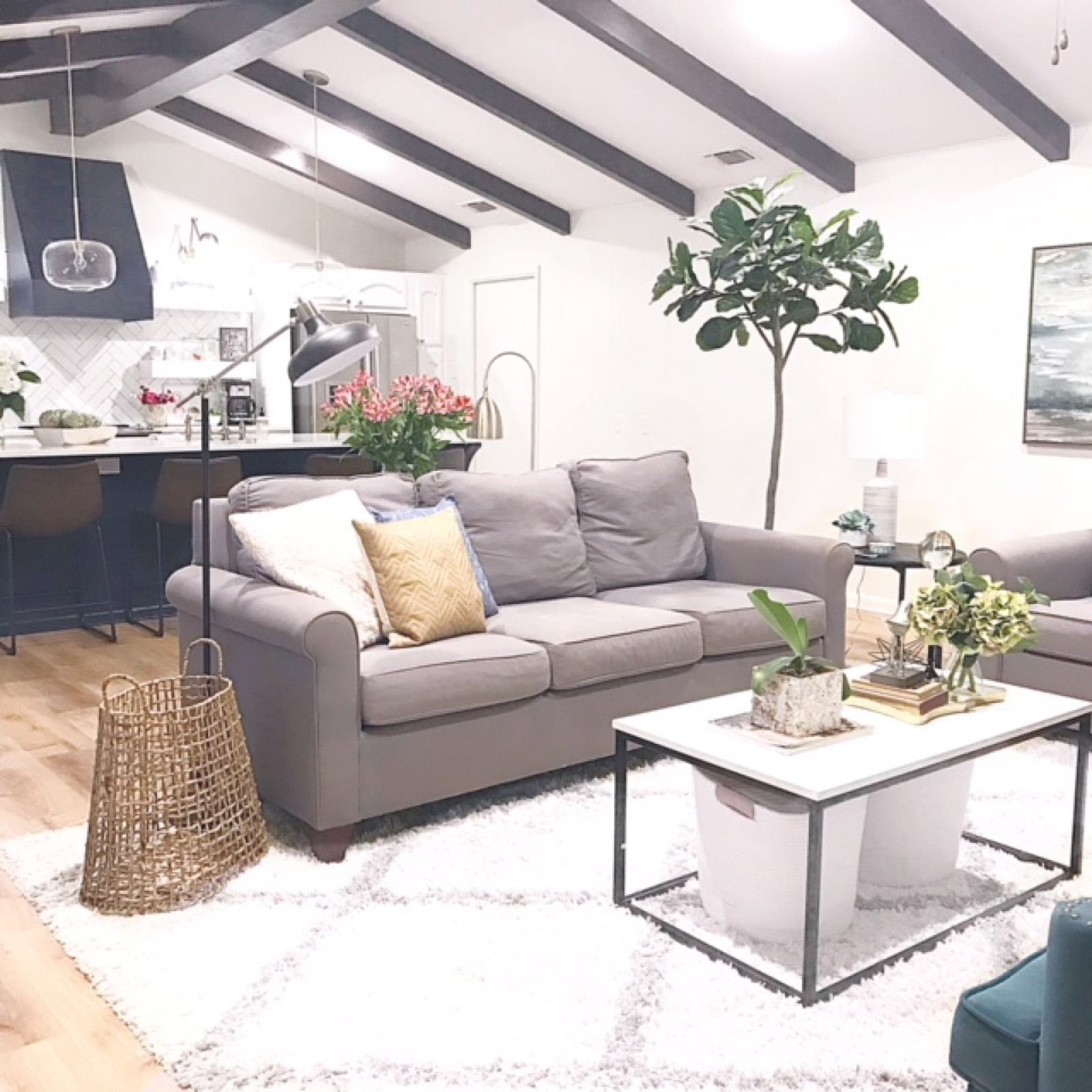 Living room with grey sofas and fiddle-leaf fig